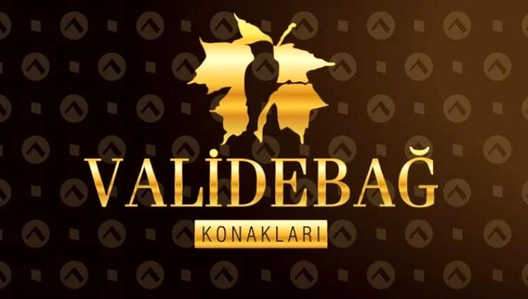 Validebağ Konakları